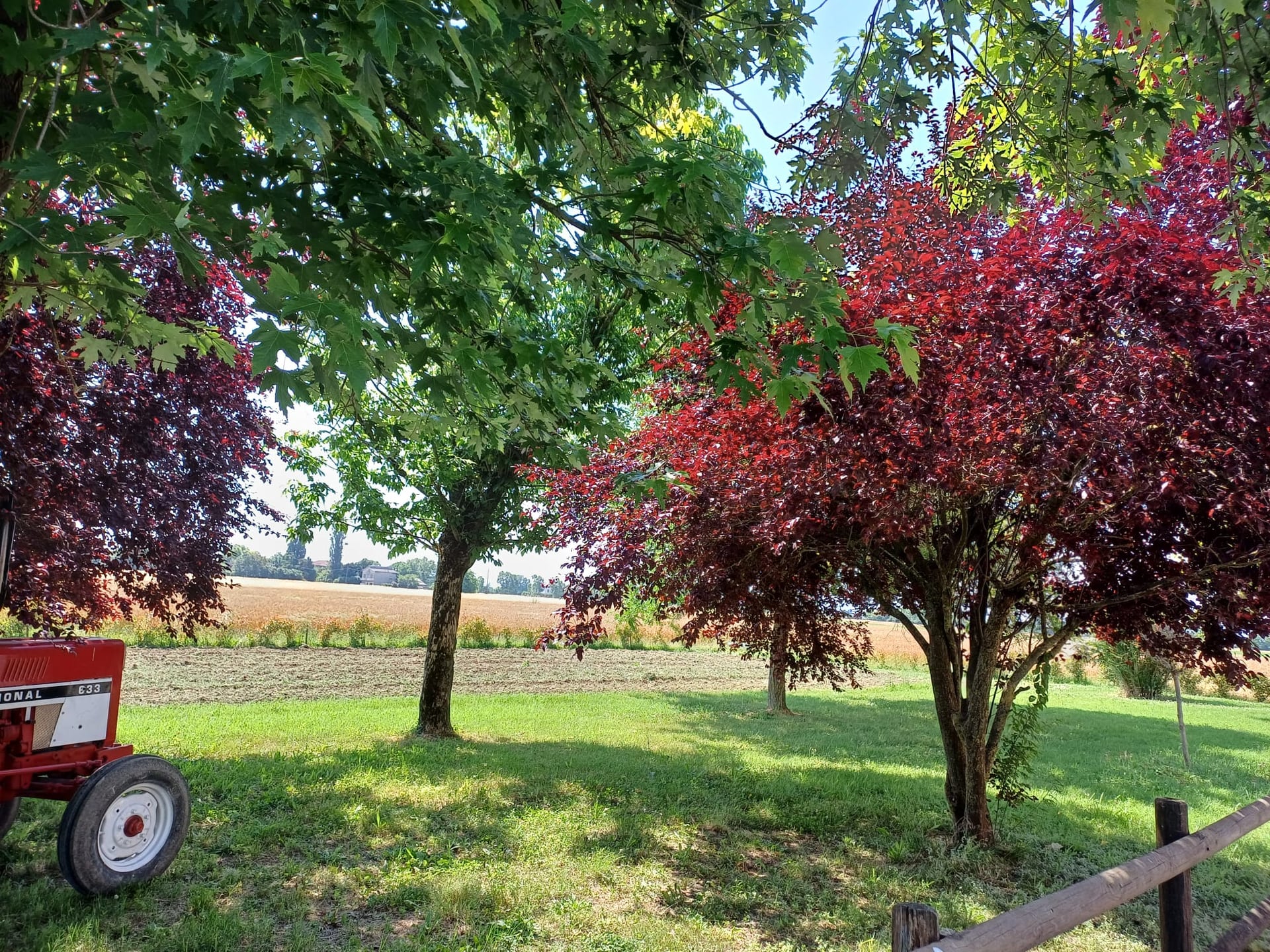 Agriturismo Il Bosso - L'Orto